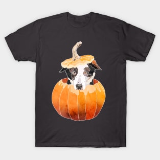 Pumpkin Puppy T-Shirt